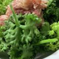 MULA's cooksnap of when they made パセリとシーチキンのおつまみ.