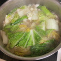 林檎亭スーさん's cooksnap of when they made 風邪の引き始めに生姜みぞれ鍋（スープ）.