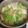 林檎亭スーさん's cooksnap of when they made 風邪の引き始めに生姜みぞれ鍋（スープ）.