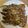 kkrhgs_ラルフ's cooksnap of when they made 簡単激ウマ餃子.