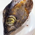 ベルちゃんパンケーキ's cooksnap of when they made オーブンでマグロの兜焼き♪.