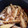 クック4LR94C☆'s cooksnap of when they made 【タケノコ切り方3種】冷凍保存・作り置き.