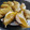 おらんでう～たん's cooksnap of when they made 【うちのかしわもち】.