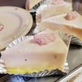 ハチ8コロ8's cooksnap of when they made ❀❀桜ティラミスケーキ❀❀.
