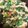 はるはーる☆'s cooksnap of when they made 簡単！　あさりとほうれん草のバターいため.