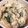 クックLQKW1B☆'s cooksnap of when they made 玉ネギ大量消費❀マヨ花ガツオ！.