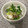 リエぷ☆'s cooksnap of when they made 簡単だけどめちゃウマ！サバ缶おろしぽん酢.