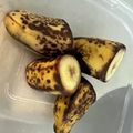 とぅかたろう's cooksnap of when they made お弁当のバナナ.