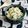 クック3539PY☆'s cooksnap of when they made *ツナ入りマカロニサラダ*.