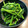 ばたみそーぱん☆'s cooksnap of when they made 菜の花のおひたし（辛子和え）♪.