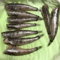 こつゆ514's cooksnap of when they made 子供もパクパク！メヒカリの下処理法.