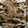 ささささ＆＊'s cooksnap of when they made 。＊・。たこ焼き風　厚揚げ。＊・。.