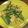クックHDP0M2☆'s cooksnap of when they made 絹さやたまご炒め.