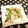 龍青空ママ's cooksnap of when they made 時短でパパッと☘️れんこんの洋風炒め.