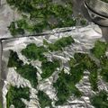 ぜんだいママ's cooksnap of when they made オーブンで簡単～　ケールチップス.