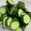 クック2JHYFR☆'s cooksnap of when they made チューブからしdeきゅうりのからし漬け♪.