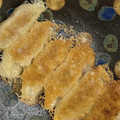 風花。。's cooksnap of when they made 我が家の羽根つき餃子.