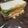 Ruriluru's cooksnap of when they made レタスたっぷりハムサンド.
