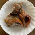 クックMODU5U☆'s cooksnap of when they made つぶ貝の旨煮.