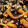 hiro1253jp's cooksnap of when they made 作り置きおかず　鶏そぼろひじき.