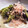 クックG1CG0C☆'s cooksnap of when they made 蕨のおひたし.