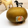 horseland's cooksnap of when they made 私のキウイの食べ方♡.
