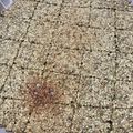 キュキュットさん's cooksnap of when they made 胡麻煎餅.