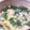クックG1CG0C☆'s cooksnap of when they made 三つ葉と豆腐のかきたま汁.