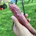 papikun's cooksnap of when they made メチャ旨！焼き芋～アウトドア編.
