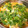 ホウキボウシ's cooksnap of when they made とろとろ半熟卵〜♡基本の絶品親子丼！！！.