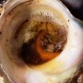 ふぁんころ's cooksnap of when they made サザエのつぼ焼き【フライパン】.