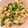 悠LOVE航's cooksnap of when they made 柔らか鶏ムネと野菜のコロコロ中華炒め‼.