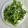 yum1ko♪'s cooksnap of when they made よもぎの下ごしらえと冷凍保存.