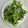 yum1ko♪'s cooksnap of when they made よもぎの下ごしらえと冷凍保存.