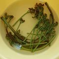 みき☆ハチ's cooksnap of when they made わらびの灰汁抜き❇️小麦粉で.