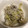 お料理勉強中、、's cooksnap of when they made レンジで簡単キャベツとしらすのゆかり和え.