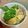 ささりんどう's cooksnap of when they made ■親子丼.