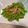 ながぴー♧'s cooksnap of when they made 絹さやとベーコンの炒め物.