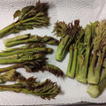 ☆baobab☆'s cooksnap of when they made タラの芽の下処理方法.