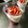 youshizu's cooksnap of when they made ベリーとヨーグルトの二層斜めゼリー.