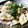 ＲＥIママ's cooksnap of when they made ごはんがすすむ♪たけのこと豚肉のみそ炒め.