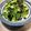 願いを叶える's cooksnap of when they made 苦くない！春菊と海苔のサラダ.