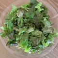 peanutsss's cooksnap of when they made クセになる♡焼肉屋さんのチョレギサラダ.
