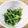 ☆清流☆'s cooksnap of when they made 山菜みずの塩こんぶ生姜和え.