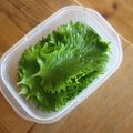 みるく茶's cooksnap of when they made 大葉の大量消費保存に！塩漬け！.