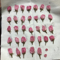 ★☆さくらんぼ★☆'s cooksnap of when they made 手作り♪桜の塩漬け.