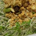 MULA's cooksnap of when they made これぞ珍味！グラノーラサラダ.