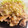 クックKLRAJE☆'s cooksnap of when they made 旨い！簡単！ネギ塩チキン.