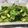 クック1FK0QL☆'s cooksnap of when they made ズッキーニと小松菜の大豆入り炒め.