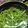 まっくいーん★'s cooksnap of when they made わらびの灰汁抜き❇️小麦粉で.